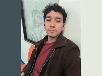 Roomgo MX - Javier Martinez - 29 - Mérida
