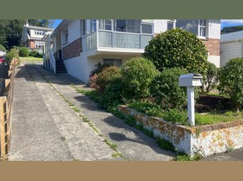 Roomgo NZ - One large room available in Port Chalmers, Dunedin - $180 pw