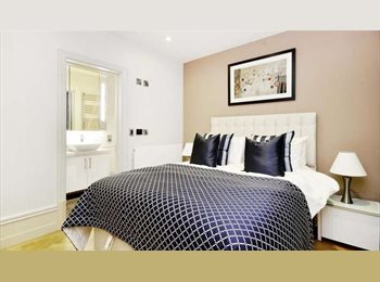 Roomgo UK - 1 Bedroom Flat To Rent, Marylebone - £1,250 pcm