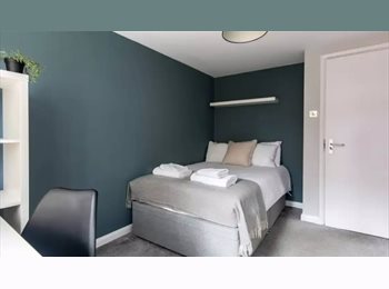 Roomgo UK - Varsity City Flat 11 Room 6, Hockley - £350 pcm