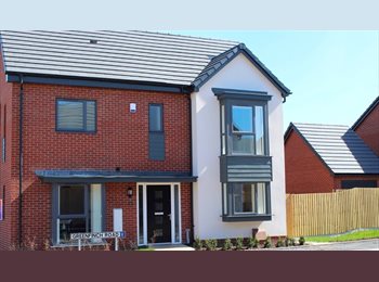Roomgo UK - En-suite room in 3 bed student modern house, Westwood Heath - £625 pcm