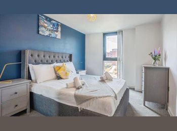 Roomgo UK - Double room in amazing building city centre, Park Hill - £445 pcm