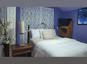 Roomgo US - Spacious Private Suite, Calverton - $1,200 pm