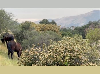 Roomgo US - 2 ROOM + Private Bath on Seclueded Horse Ranch, Mint Canyon - $1,900 pm