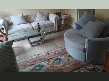 Roomgo US - Master bedroom for rent, Montgomery Village - $800 pm