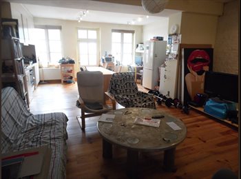 Appartager BE - Appartement style loft avec gd terrasse-jardinn, Saint Gilles Sint Gillis - 485 € pm