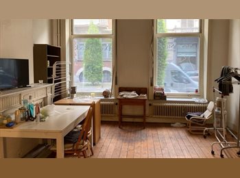 Appartager BE - CHAMBRE LUMINEUSE BXL CENTRE, Ixelles-Elsene - 700 € pm