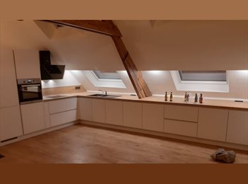 Appartager BE - Collocation en campagne, Bigaude - 350 € pm