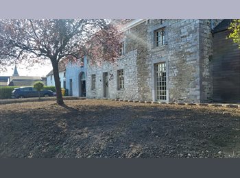 Appartager BE - Bonjour, j'habite une grande maison spacieuse et confortable  à la campagne, un endroit idéal pour s, Héron - 500 € pm