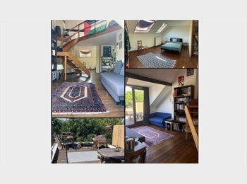 Appartager BE - Grande chambre avec salle de bain privée et terasse, Schaerbeek Schaarbeek - 870 € pm