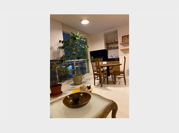 Roomgo BR - Conforto e segurança em ambiente acolhedor., Lapa - R$ 3.500 Por mês