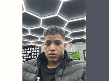 Roomgo BR - David - 21 - Curitiba