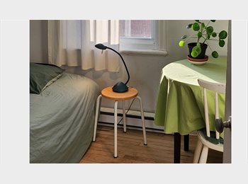 Roomgo CA - Nice room close to Laval University, Québec City - $560 pcm
