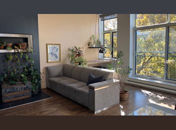 Roomgo CA - Grand et lumineux 3 1/2 entièrement meublé et équipé, Montréal - $1,400 pcm