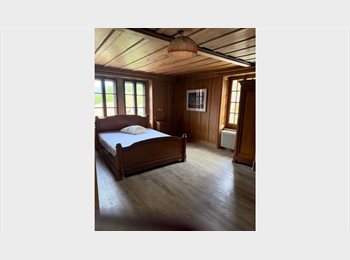 Roomgo CH - Appartement a louer entre bulle et chateau d'Oex, Vevey - 1 150 CHF / Mois