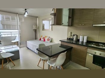 CompartoDepto CL - SE ARRIENDA DEPARTAMENTO AMOBLADO, Santiago Centro - CH$550.000 por mes