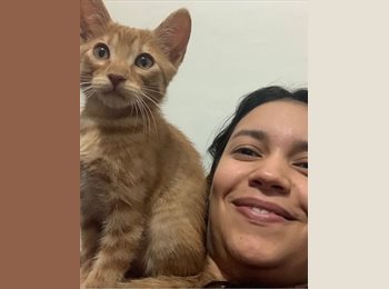 CompartoApto CO - Diana Garcia - 31 - Medellín