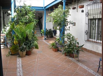 Roomgo ES - Se alquila habitacion en S Andres/ City Center, Córdoba - 750 € por mes