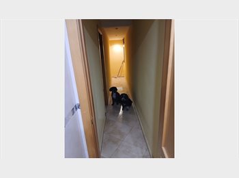 Roomgo ES - Gente responsable, 2 perros de agua.Pequeños.Cerca metro , Sambil, zonas verdes, Carabanchel - 360 € por mes