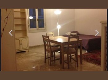 Roomgo IT - Camera doppia o uso singola in zona Statuto a studentesse referenziate, Firenze - 600 € al mese