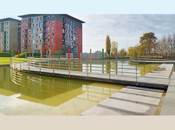 Roomgo IT - Stanza singola per ragazza PAVIA (zona Università), Pavia - 470 € al mese
