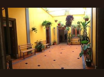Roomgo MX - En el centro de la ciudad/au centre-ville/ in downtown, Guadalajara - MX$4,400 por mes