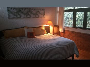 Roomgo MX - Suite cómoda, soleada, con baño privado, Coyoacán - MX$8,750 por mes