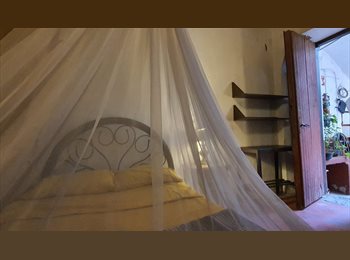 Roomgo MX - Habitación Llorona disponible en Casa Guadalupe - Residencia para estudiantes, Guadalajara - MX$4,600 por mes