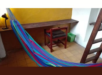 Roomgo MX - Habitación Rielera disponible en Casa Guadalupe - Residencia para estudiantes, Guadalajara - MX$3,900 por mes