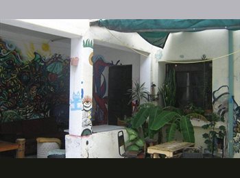 Roomgo MX - Casa con enfoque de preferencia artistico, bien ubicado centro historico, Guadalajara - MX$2,000 por mes