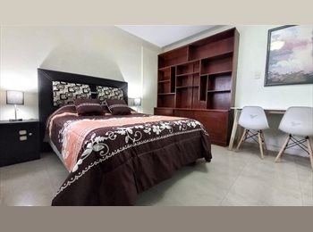 Roomgo MX - RENTO ACOGEDORA SUITE EN COLONIA LA PAZ, Puebla - MX$4,500 por mes