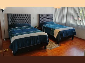 Roomgo MX - Recamara Amplia iluminada o totalmente obscura si es necesario, con una o dos camas ,Espacio para gu, Puebla - MX$4,000 por mes