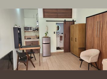 Roomgo MX - Excelente Loft individual y la Mejor ubicacion, Querétaro - MX$6,000 por mes