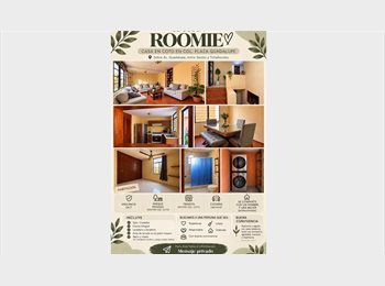 Roomgo MX -  ¡Buscamos roomie en Plaza Guadalupe!, Zapopan - MX$5,500 por mes