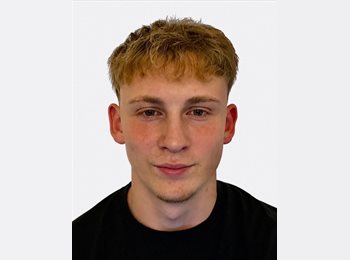 Roomgo MX - Anton Beemelmanns - 23 - Zapopan