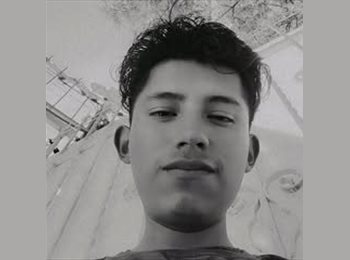 Roomgo MX - Miguel - 22 - Cholula