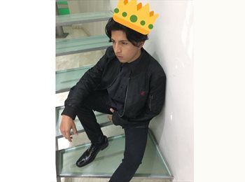 Roomgo MX - edgar ulises - 24 - Querétaro