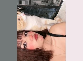 Roomgo MX - Katia - 22 - Puebla