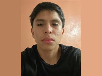 Roomgo MX - Alejandro - 18 - Guadalajara