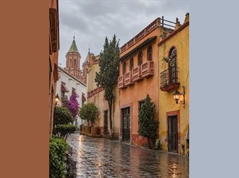Roomgo MX - proud - 35 - Querétaro
