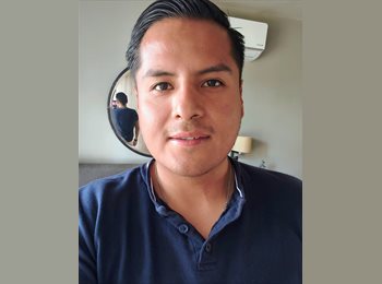 Roomgo MX - Mario - 31 - Querétaro
