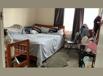 Roomgo NZ - Room Rent near to bayfair, Tauranga - $350 pw