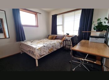 Roomgo NZ - Sunny Double Room - Central Christchurch, Christchurch - $180 pw