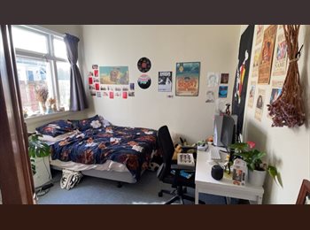 Roomgo NZ - Room for rent in Kilbirnie, Wellington - $220 pw