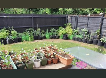 Roomgo UK - Friendly Relaxed Intelligent Mature Fun Healthy, Wolsey Island - £550 pcm