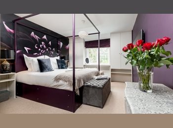 Roomgo UK - Luxury room(s) for rent, ensuite bathroom with communal large dining area, kitchen, washer and dryer, Marlow - £950 pcm