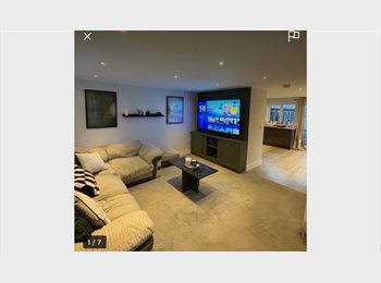 Roomgo UK - Gorgeous house 4 mins from A12 links to London and Suffolk, Chelmsford - £725 pcm