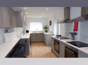 Roomgo UK - QUALITY HIGH END ROOMS TO LET £700 PCM ALL BILLS INC, Southsea - £700 pcm