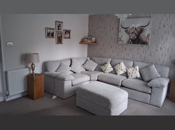 Roomgo UK - Room in clean quiet home, Heath - £600 pcm