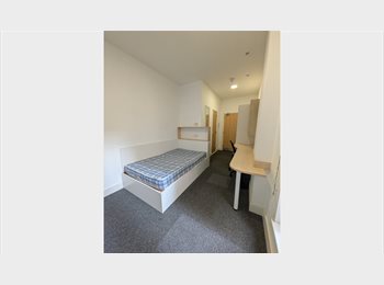 Roomgo UK - UAL STUDENT ONLY SKETCH HOUSE LARGE ROOM AVAILABLE TENANCY TAKEOVER, Finsbury Park - £1,302 pcm